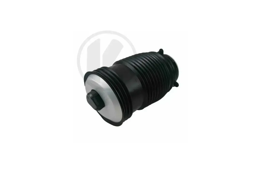 a2053200125 c   air spring   rear left